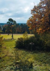 Φυσικό τοπίο κοντά σε αυτή η παραθεριστική κατοικία