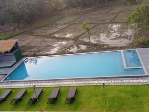 Bazén v ubytování The Wild Elephant Resort nebo v jeho okolí