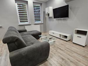 TV a/nebo společenská místnost v ubytování Noclegi Jodłowa