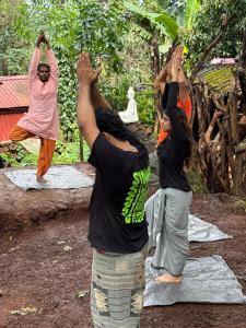 Επισκέπτες που μένουν στο The Green Goan Village