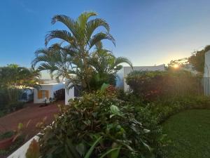 a palm tree in the yard of a house at Easy Breezy at 18 Thira Santorini in Ballito