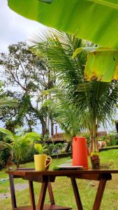 Κήπος έξω από το Casa Flora