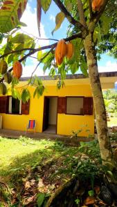 Κήπος έξω από το Casa Flora