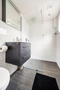 a bathroom with a sink and a toilet at The Alkmaar Family House in Alkmaar