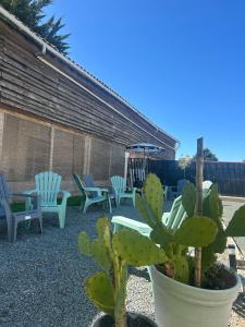 a group of chairs and a cactus in a yard at Happy Break in Saint-Michel-en-lʼHerm