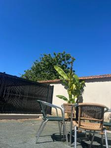 two chairs and a table and a plant next to a building at Happy Break in Saint-Michel-en-lʼHerm