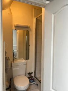 a bathroom with a toilet and a sink and a mirror at Nid Parisien in Cachan