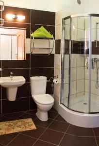 a bathroom with a toilet and a shower and a sink at Sanatorium Podhale in Połczyn-Zdrój