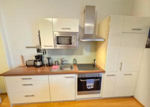 Kuchyň nebo kuchyňský kout v ubytování Beautiful Apartment in Tirol