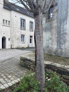 Φωτογραφία από το άλμπουμ του Le Petit Cocon de Pleyben σε Pleyben