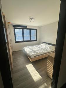 Un dormitorio con una cama y una ventana en Chambres dans villa à 10 minutes de Crans-Montana, en Chermignon-dʼen Haut