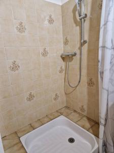 a bathroom with a shower with a toilet in it at Gîte de la Capelle in Touluch