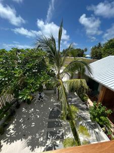 Zahrada ubytování Pearl Villa + 15 fotografií