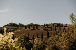 Příroda nedaleko farmy