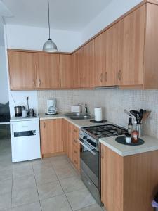 a kitchen with wooden cabinets and a stove top oven at Eco Haus Milatos in Mesochórion +20 photos