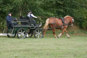 Hosté ubytování Postgaarden Frøslev