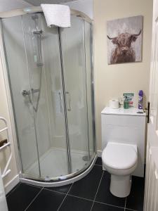 a bathroom with a shower and a toilet at Mountain Thyme Lodge in Kilfinnan