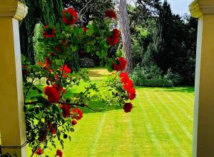 a view of a yard with red flowers at Altes Forstamt in Wennigsen