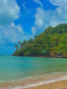 a beach with a bunch of trees and the ocean at Villa l'Aurora in Amphoe Koh Samui +5 photos
