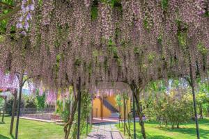 Gallery image of Sarzana-Charming Room Pool and BB in Sarzana