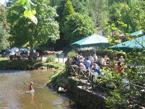 AshspringtonにあるThe Watermans Armsの川の近くの水に立つ人々