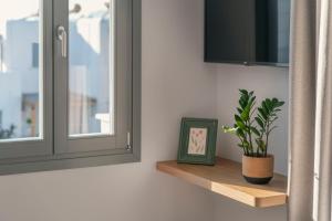 a plant sitting on a shelf next to a window at La Maltese Central in Naousa