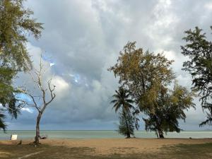 a group of trees on a beach with the ocean at Cerya Kampung Inn in Cherating