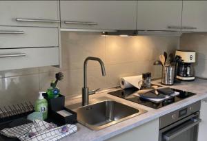 a kitchen with a stainless steel sink and a sink at Veermaster in Breege