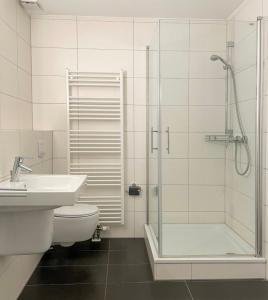 a bathroom with a shower and a toilet and a sink at Veermaster in Breege