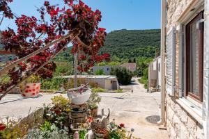 een huis met bloemen aan de straatkant bij Double Room Mali Ston 14434a in Mali Ston