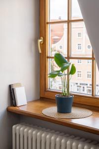 a potted plant sitting on a window sill at Old Town Gem - Rooftop Studio - By Innorental in Rīga