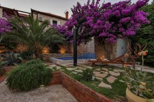 Zahrada ubytování Seaside house with a swimming pool Sutivan, Brac - 16300