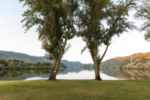 two trees on the shore of a lake at Olhares do Douro "A casa do Avô Zé" in Torre de Moncorvo