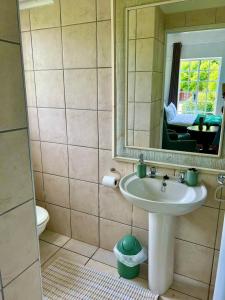 ein Badezimmer mit Waschbecken und Spiegel in der Unterkunft Cozy Cottage in idyllic greenery in Harkerville