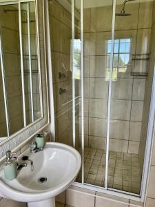 ein Badezimmer mit Waschbecken und Dusche in der Unterkunft Cozy Cottage in idyllic greenery in Harkerville