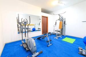 Fitness centrum a/nebo fitness zařízení v ubytování Family-friendly apartments with swimming pool Brela, Makarska - 19998