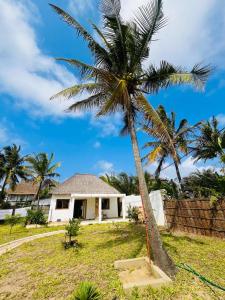 a palm tree in front of a white house at Kategha Beach Guesthouse in Praia do Tofo +33 photos