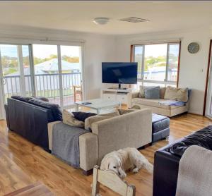 ein Wohnzimmer mit einem Hund auf dem Boden in der Unterkunft Falcon Bay Family Retreat in Falcon