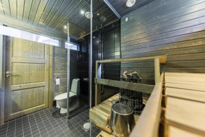 Ένα μπάνιο στο Levin Stara C 14 Visit Levi +10 φωτογραφίες