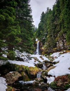 a waterfall in the middle of a snowy forest at Kuca Lula Stara planina in Pirot