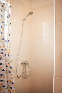 eine Dusche mit Duschkopf in einem Badezimmer in der Unterkunft L Albéra - Elégance et douceur in Albertville