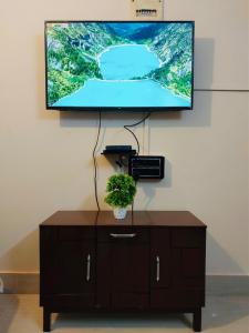 a tv sitting on top of a cabinet with a plant at The Mishing Room in Guwahati +3 photos