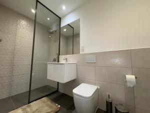 阿克拉The Bantree D-plus Apartments的浴室里有马桶、洗手池和镜子。