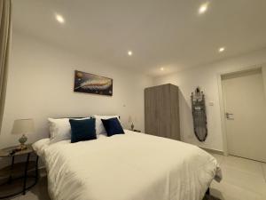 阿克拉The Bantree D-plus Apartments的卧室里有一张白色的大床，配有蓝色的枕头