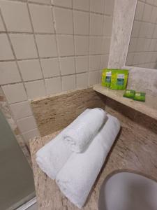 Et badeværelse på Recife Mar Flat - 1708