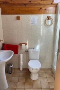 a bathroom with a white toilet and a sink at Le Mas du Plan in Le Bourg-dʼOisans +24 photos