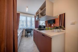 a kitchen with a sink and a counter top at Żurawia Mini Apartments by Sofija in Warsaw