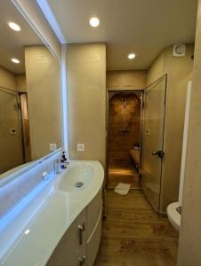 Un baño con lavabo y ducha en Appt de charme dans chalet - cosy & nature, en Villars-sur-Ollon