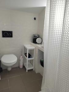 a bathroom with a toilet and a shower curtain at Gite du grand braquet in Puget-Théniers
