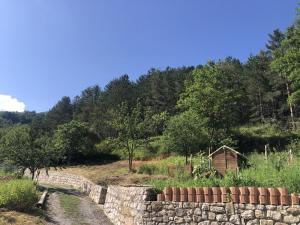a garden with a stone wall and a house at Gite du grand braquet in Puget-Théniers